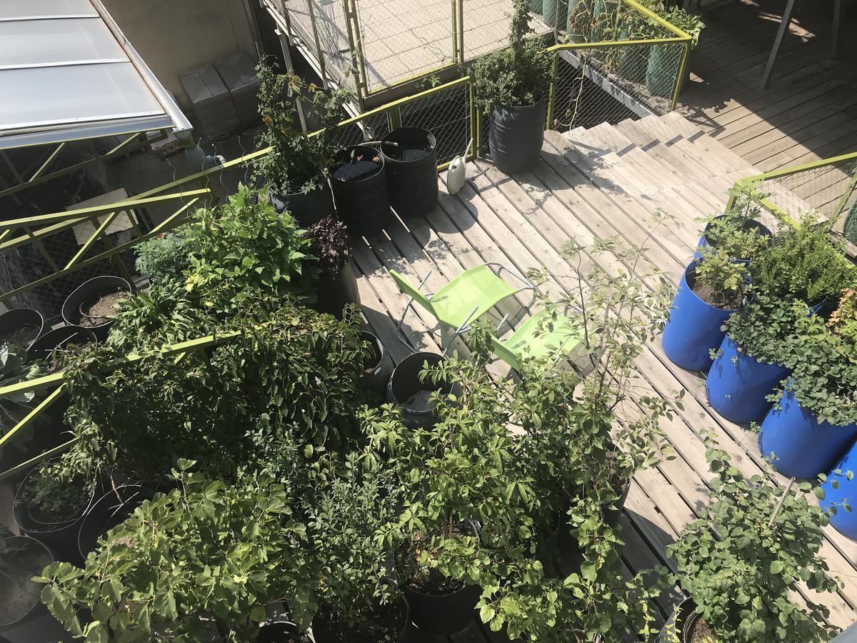 Wiener Gaeste Zimmer Kültér fotó